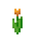 orange_tulip minecraft:orange_tulip