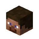 minecraft:player_head